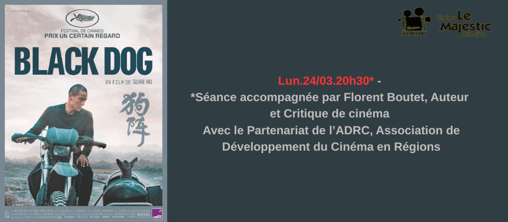 actualité SEANCE ACCOMPAGNEE BLACK DOG